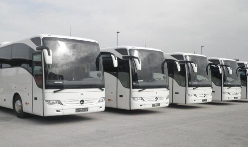 France: Bus company in Occitanie in Occitanie and France