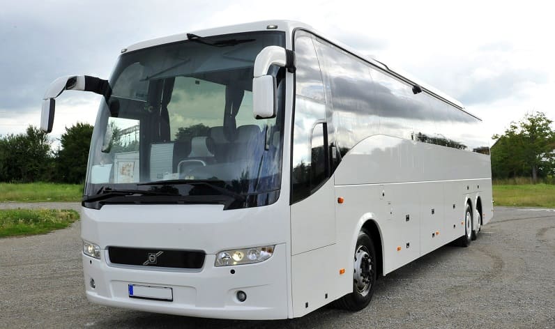 France: Buses agency in Occitanie in Occitanie and Lunel