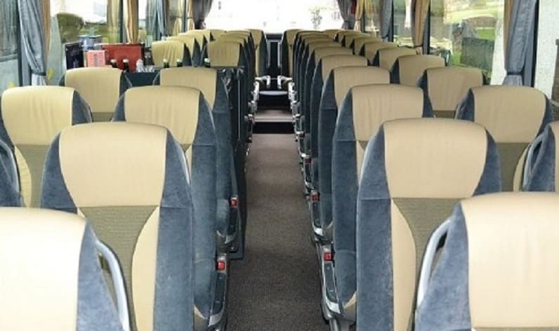 France: Coach operator in Occitanie in Occitanie and Nîmes